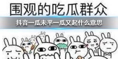 抖音免费吃瓜群号,畅享热门资讯狂欢盛宴